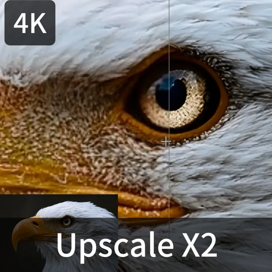 Upscale 2X